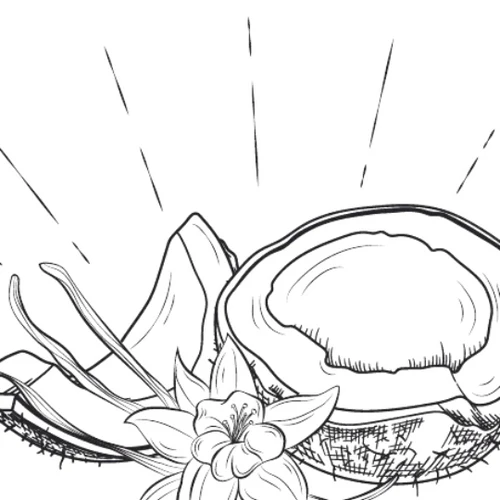 VANIGLIA ESOTICA, MARCOCCIA, Eau de Parfum 100ml